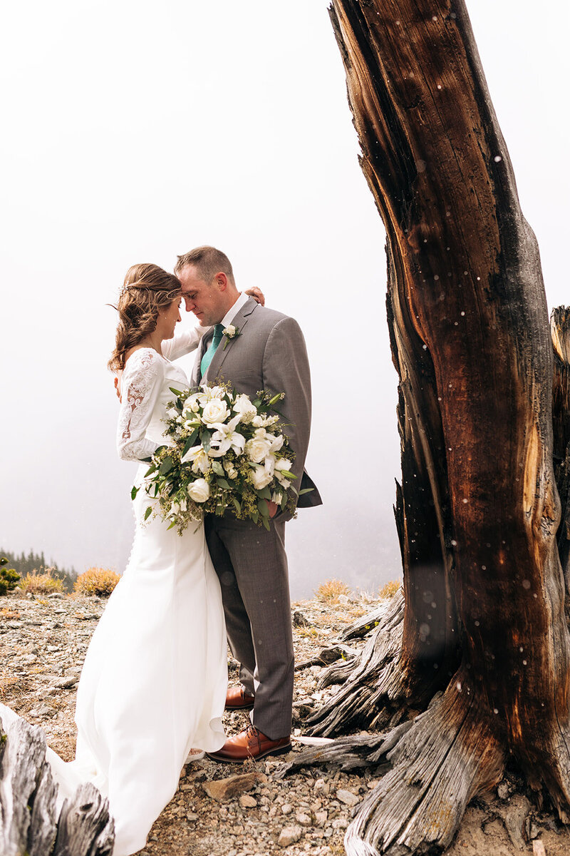 bride and groom portraits yellowstone national park