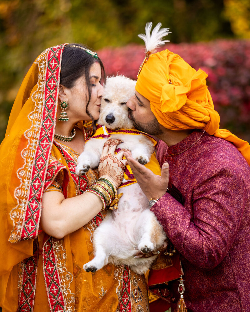 Bride and groom kiss their flower dog after their New York multi-day Indian wedding celebration