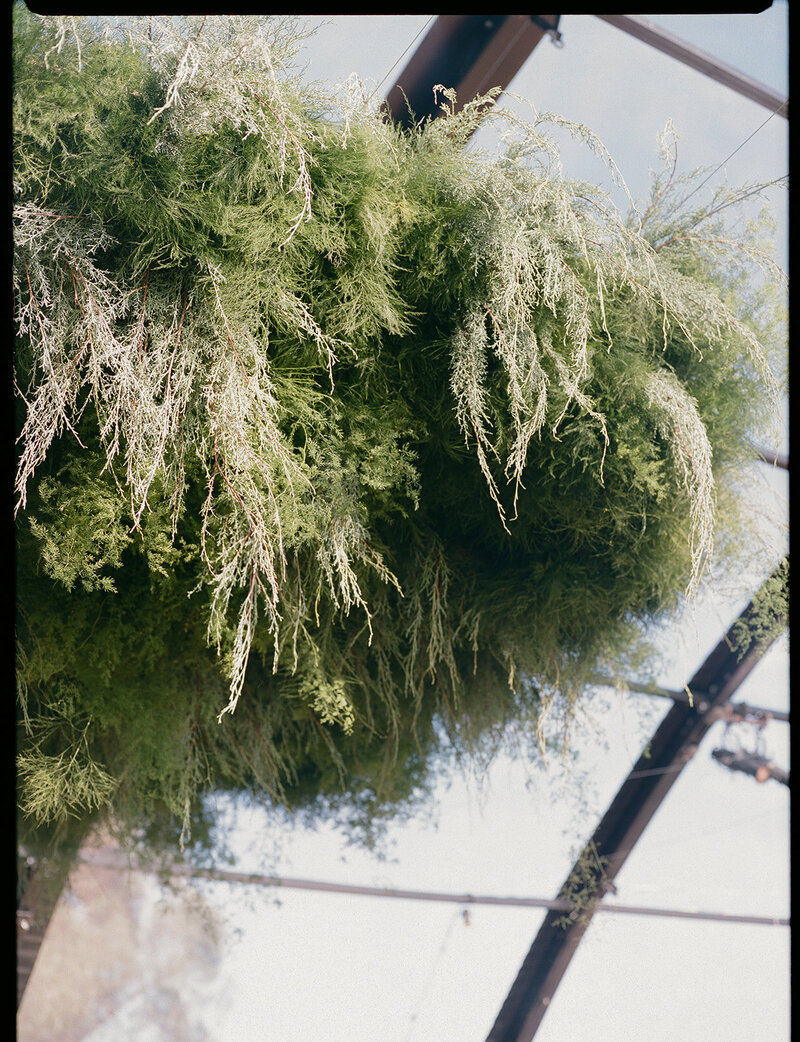 destination-wedding-planner-wild-heart-events-68
