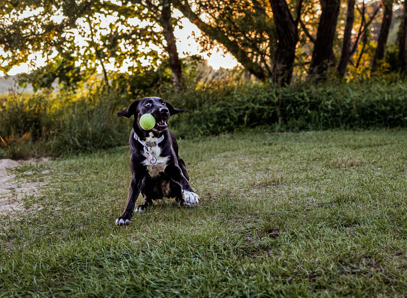 1C2A9464-Edit