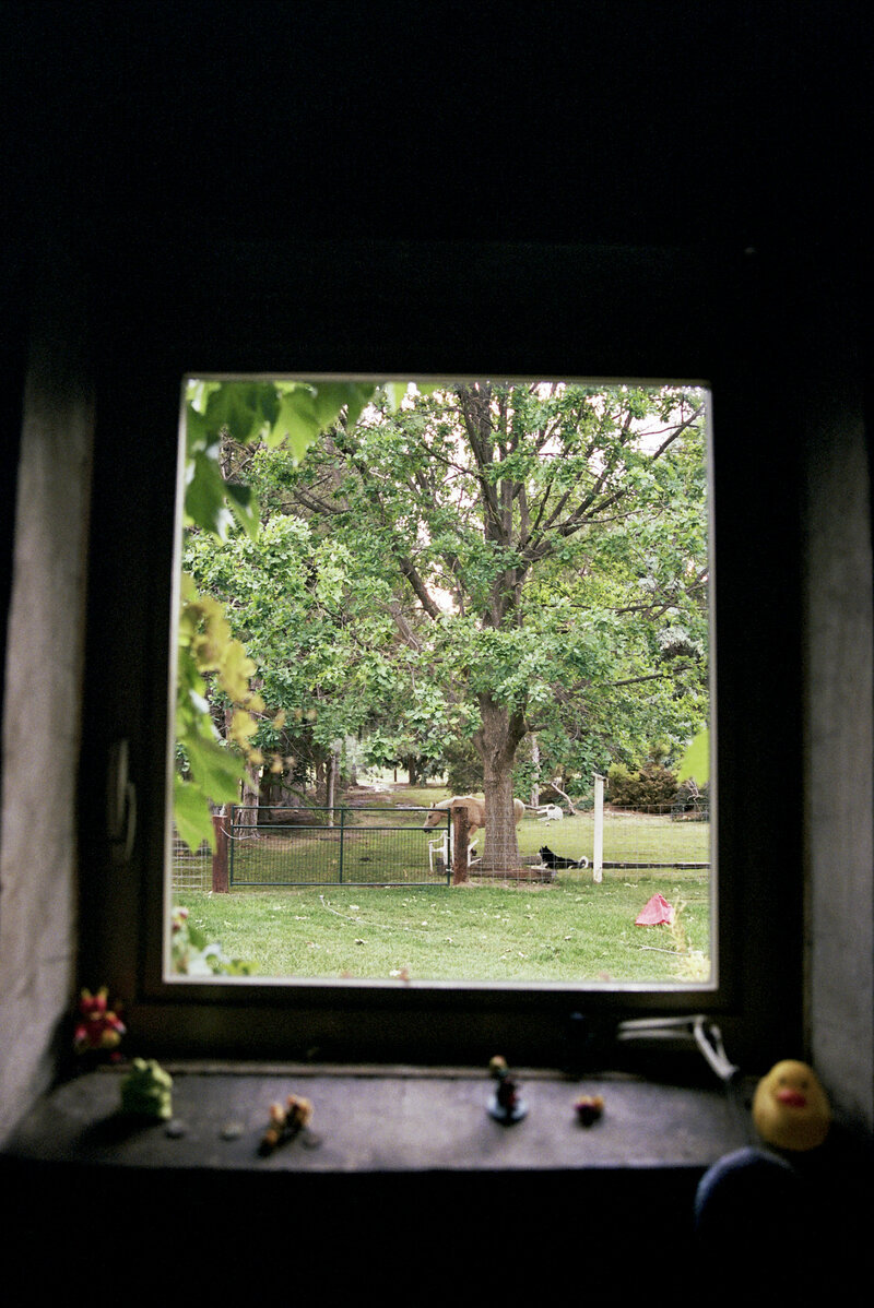 film photo through a window