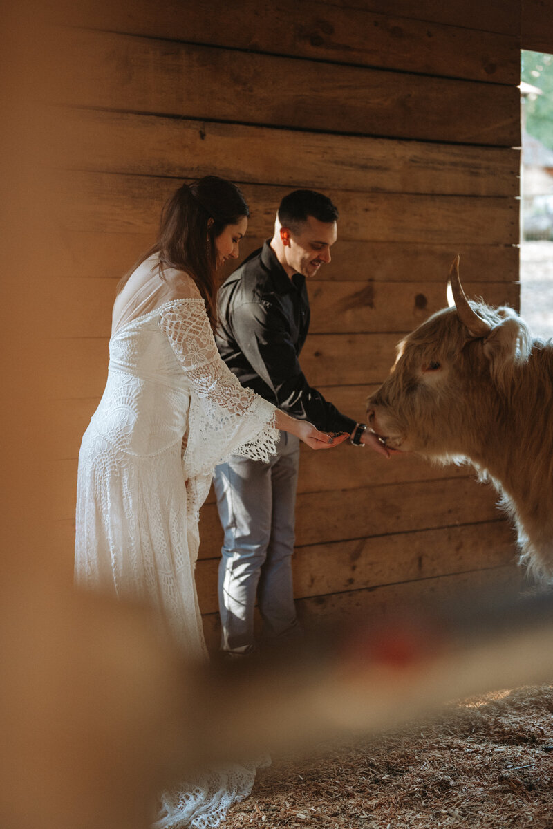 StyledShootHighlandFarms-51_Original