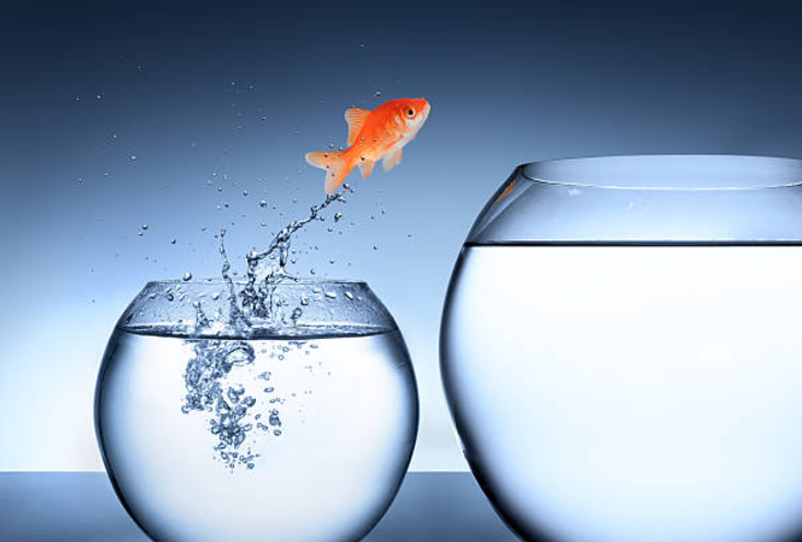 christelle Anicet coaching  humains et animaux design humain, breathwork technique susan oubari