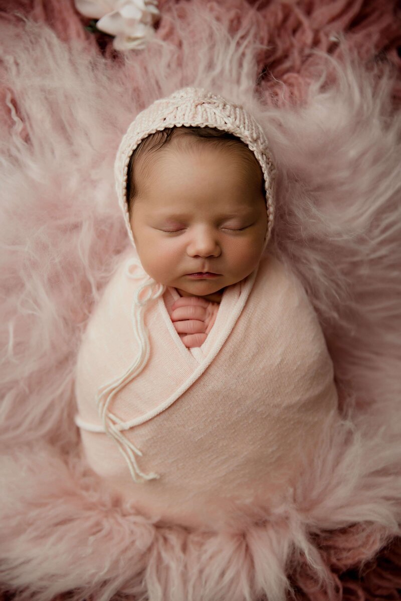 best philadelphia newborn photography , contact philadelphia newborn portrait studio