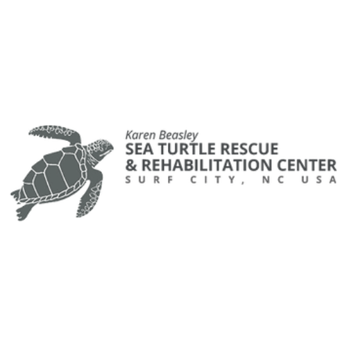 turtle-hospital-black-white-transparent-logo