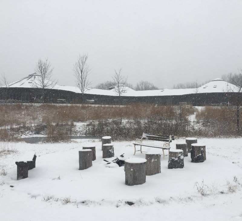Yoga-and-Meditation-Retreat-Willard-WI