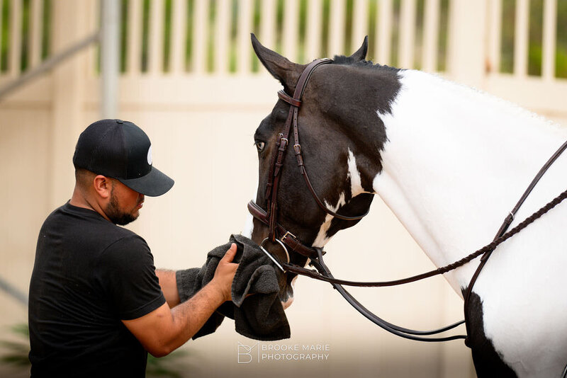 CHEROKEESHOWHORSES-2024DELMAR-SUNSHINECLASSIC-8381