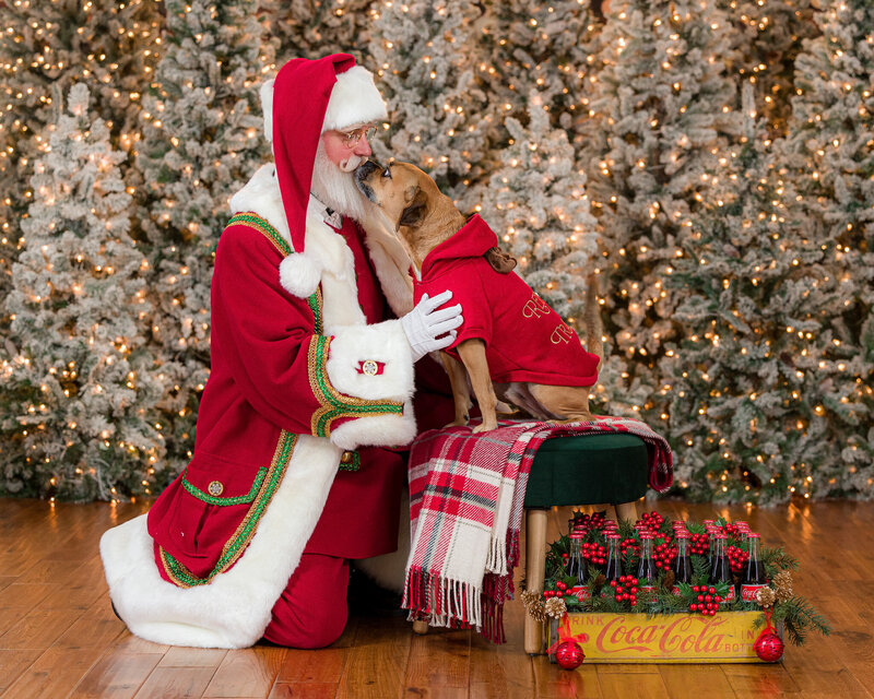 FoxBrazen_HolidayExperience2024StittMollie_0137a