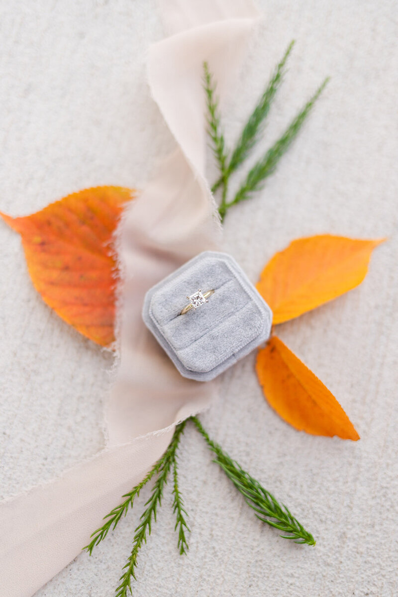 Lenoir-Rhyne University Fall Engagement_NC Wedding 7 Family Photographer_Katelyn Shelley Photography-1 (47)