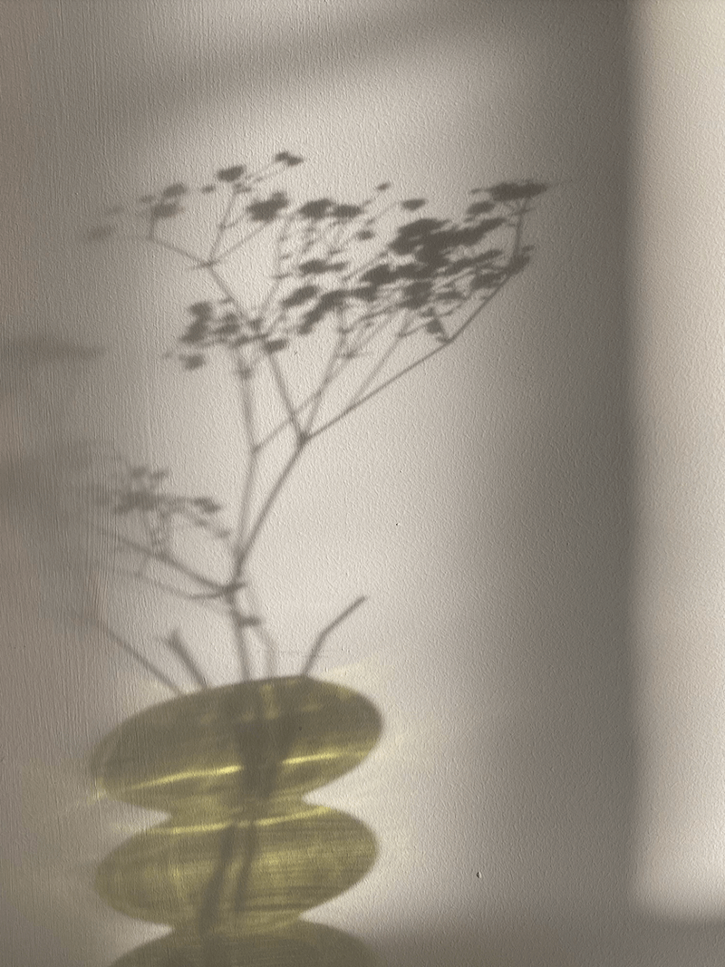 Shadow of a green vase cast in soft light, creating a serene and natural aesthetic for Love Light Wellness Kauai