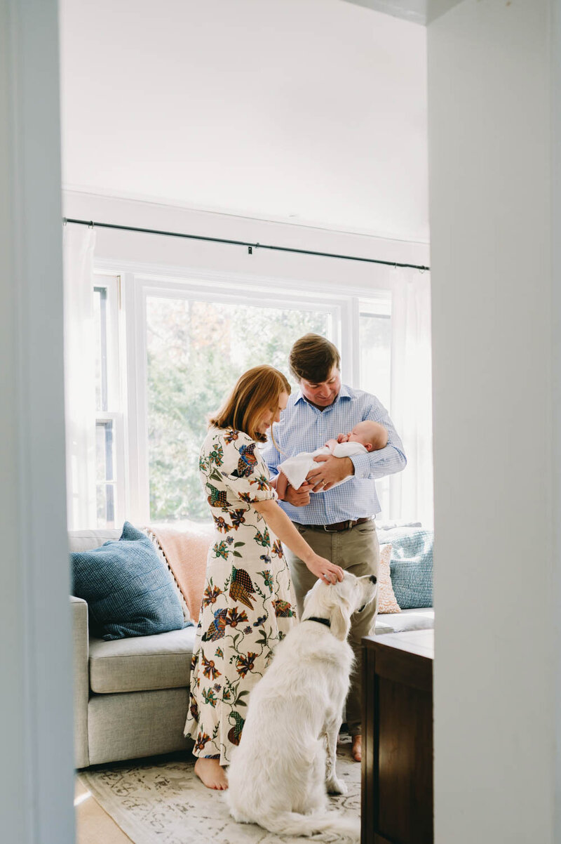 Anne-Brooks-newborn-pet-and-newborn-alexandria-va