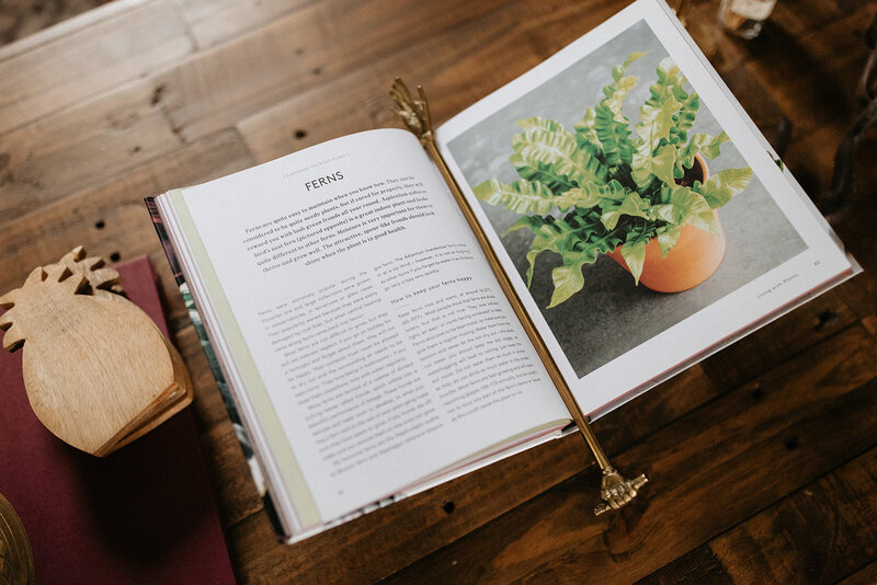 Hardins_Brand_Session_5.24.23-230