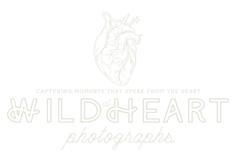 Tiffany Florida Elopement Photographer main logo