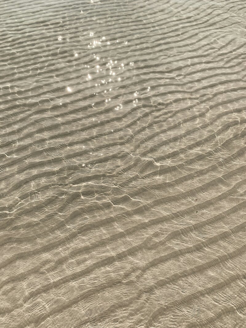 martina-bombardieri-Wam-GEodulA-unsplash