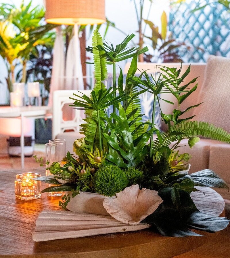 Plant centerpiece on coffee table