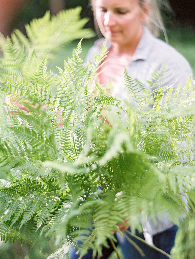 Fern_016