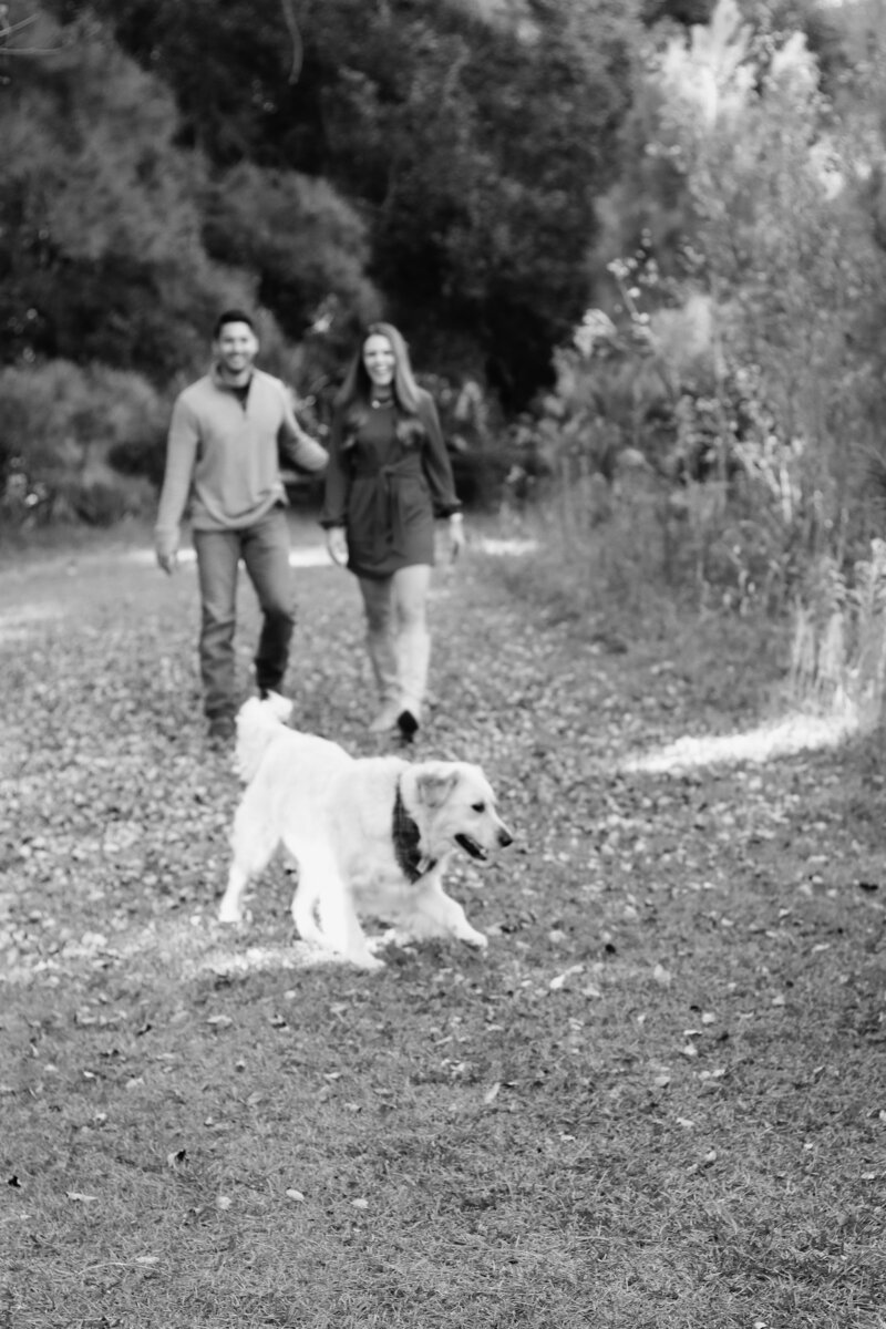 Husband and wife play fetch with their dog