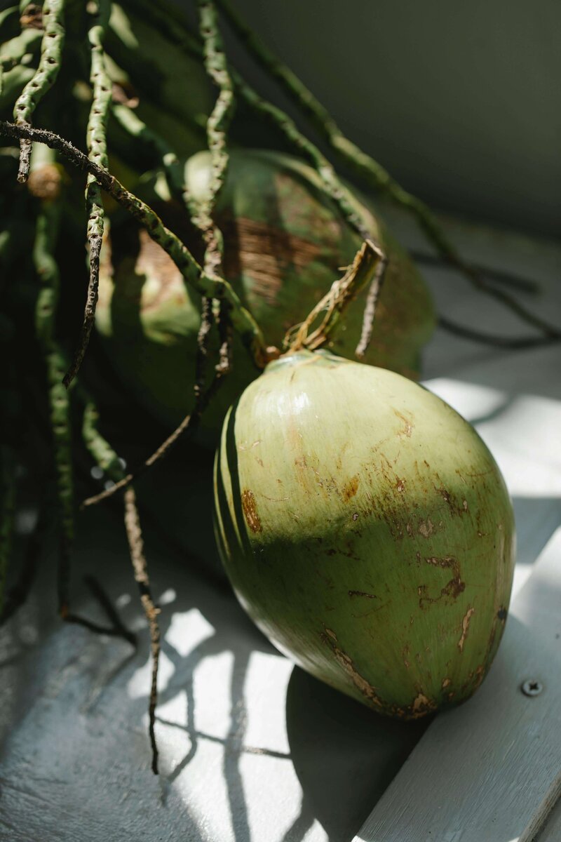 coconut skincare ingredient