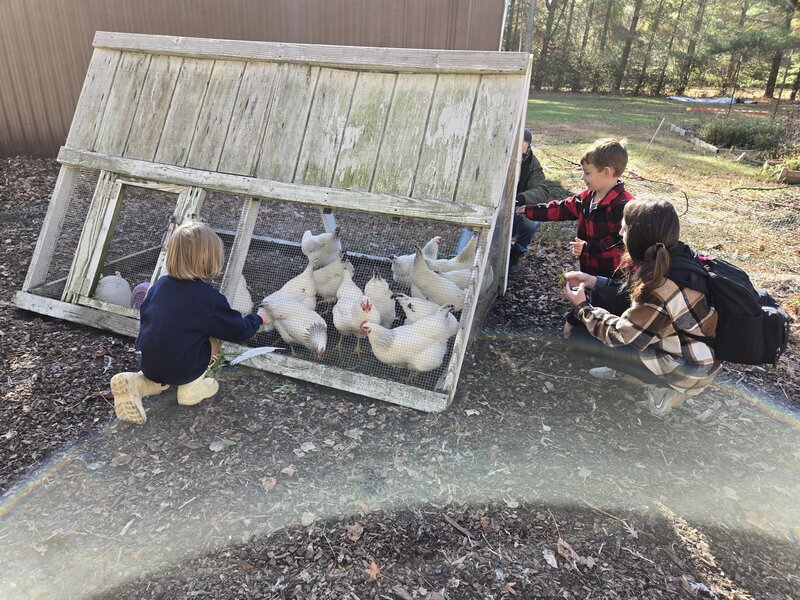 Children caring for chickens at the ROOTS coop