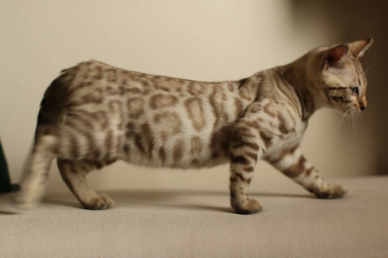 Kiara x Benny_Snow Girl_4