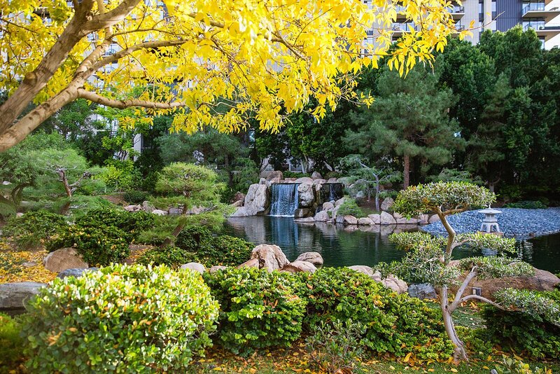 Japanese Friendship Garden Phoenix Wedding Venue_03