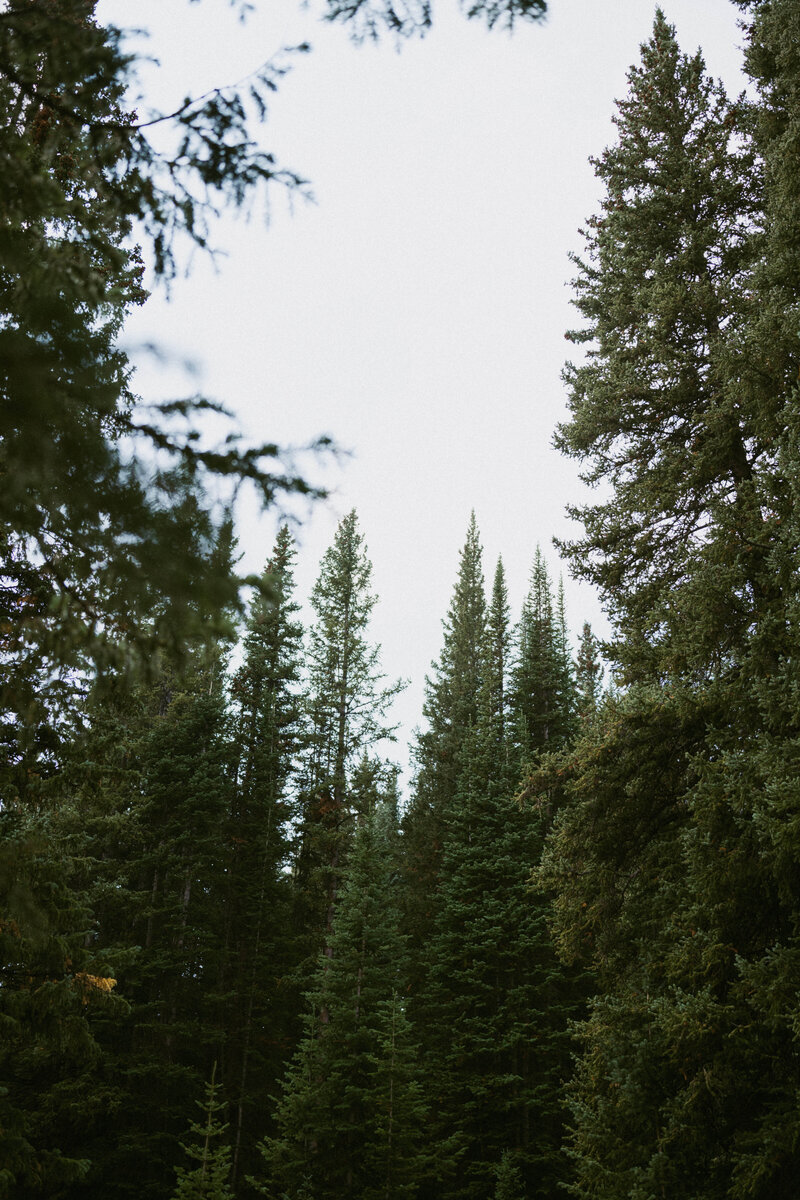 shrine pass colorado elopement Photographer 1