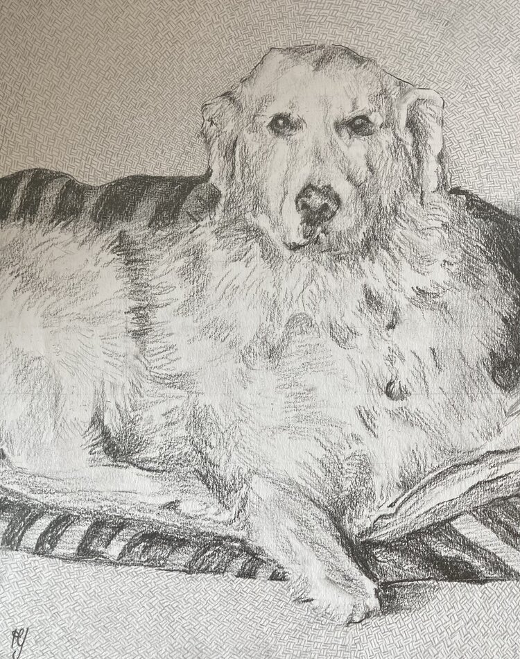 Man's Best Friend