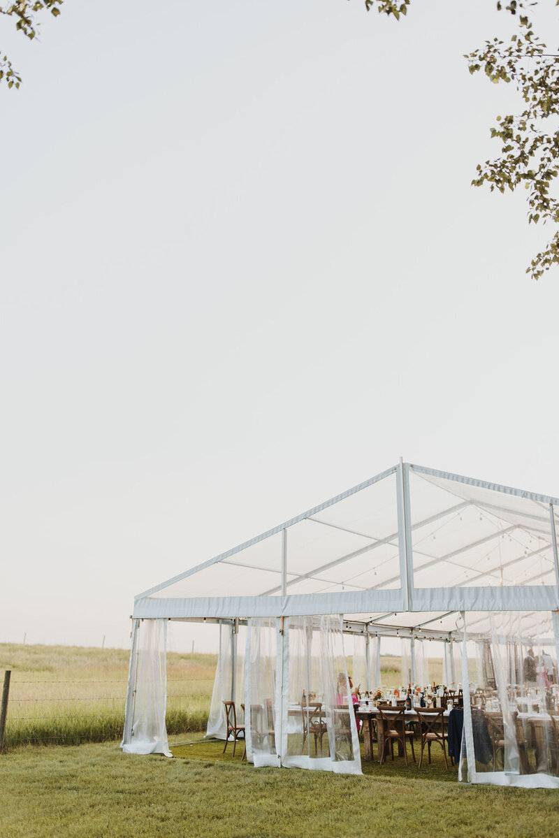 D&Cwedding-1102