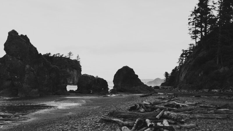DSC_7272112