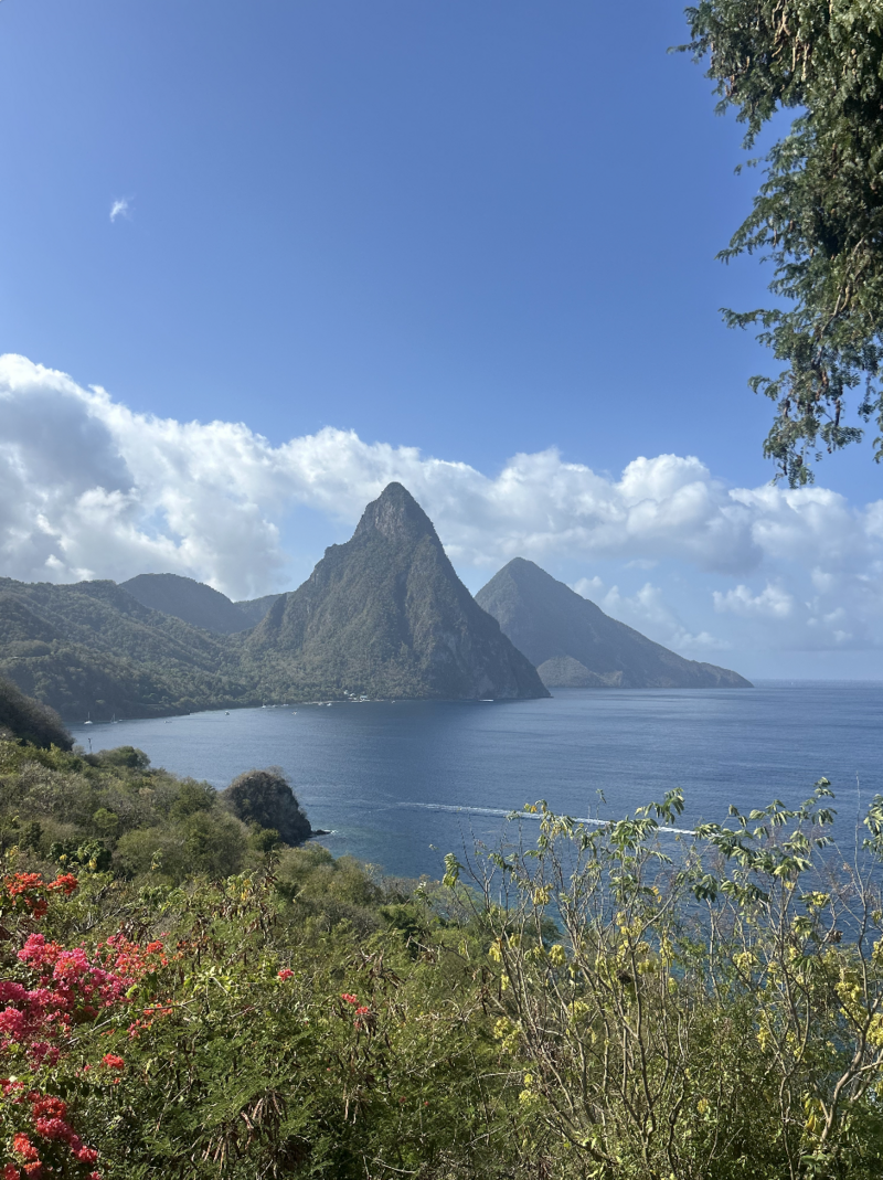 Screenshot 2025-11-07 at 7.14.28 PM