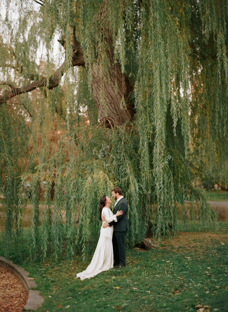 Willowdale Estate Winter Wedding with bride and groom standing under a tree, holding each other