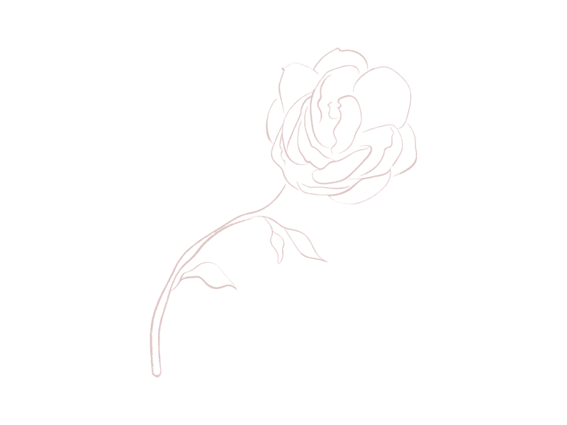 Rose-1-Pink