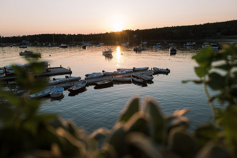 8 sealharborsunset