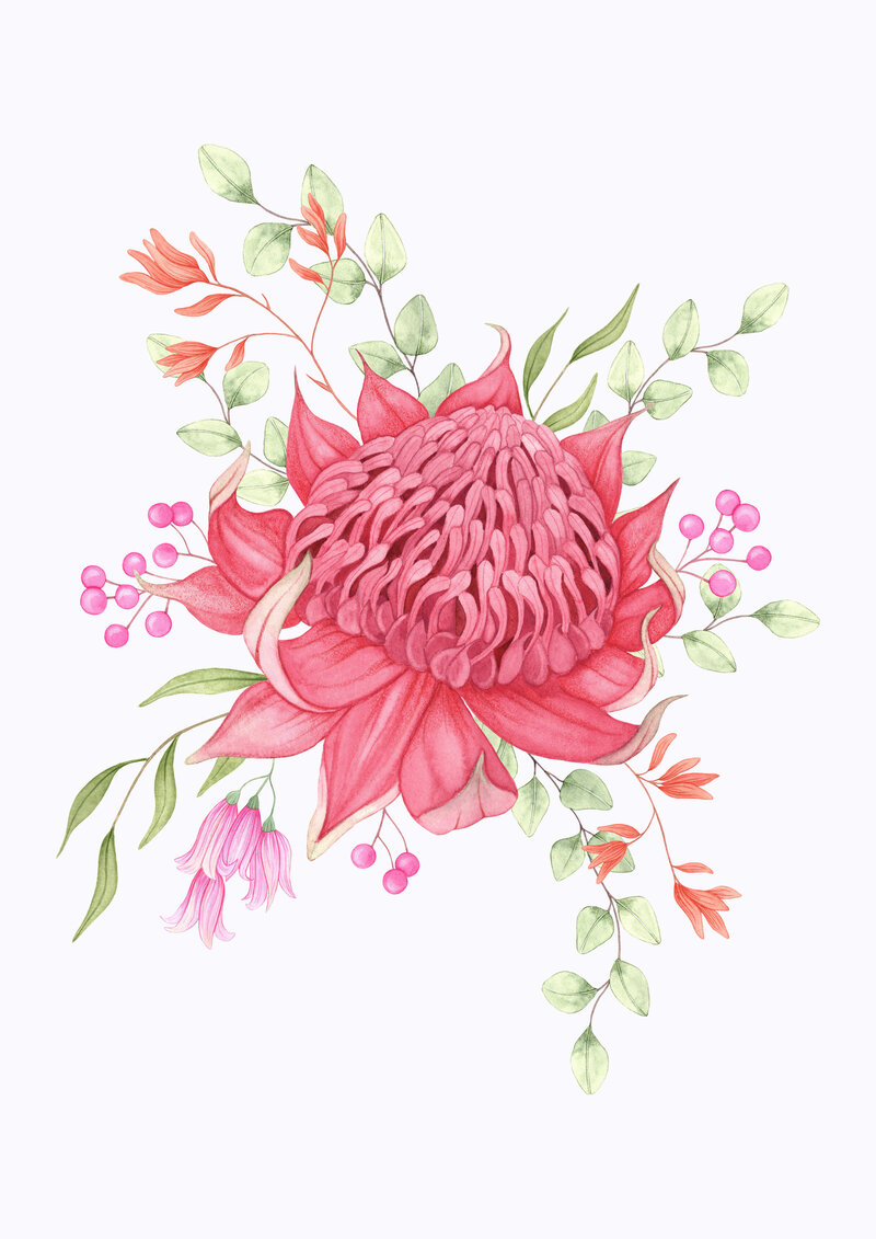 Australian botanical print copy