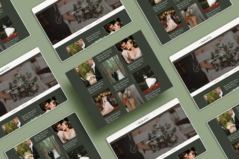 website template pages in a grid on a light green background