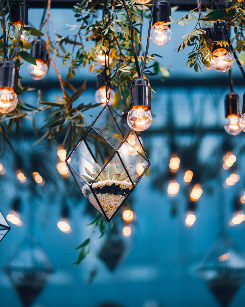 Hanging terrariums with flowers and stones nestle the Edison festoon lights at a party or brand launch event.