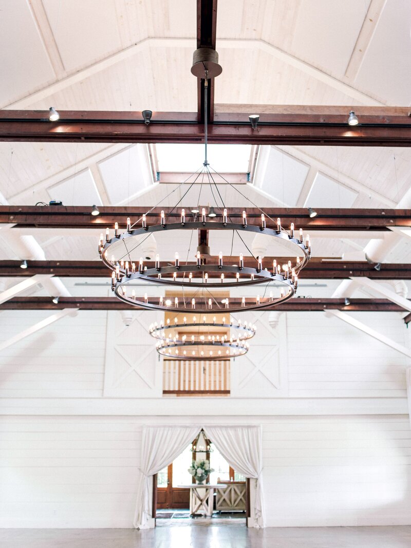 Pippin Hill Wedding Charlottesville Virginia Photographer_32