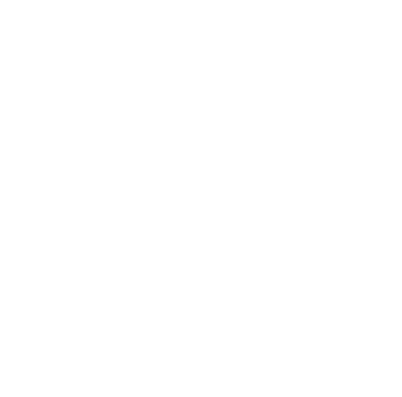 Primary Logo for Simplistic Designs