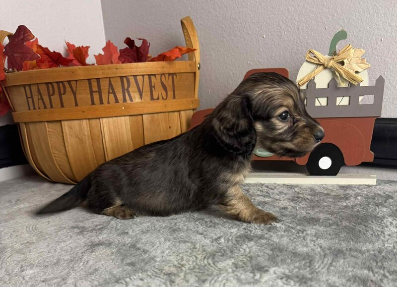 5a397a66-e9d2-41b6-bf35-88a3ef235231