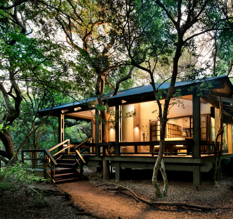 Phinda Forest Lodge