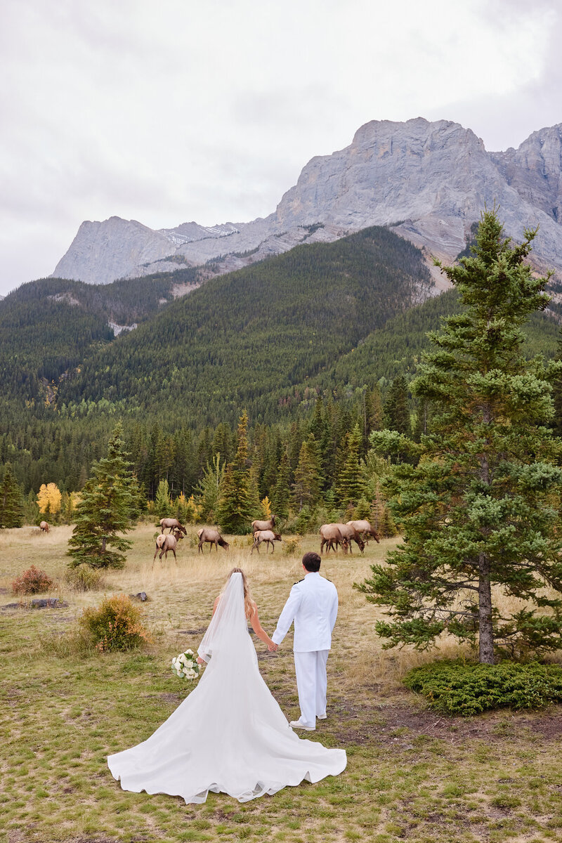 Mainspace_Canmore_Wedding_GrecoPhotoCo_396
