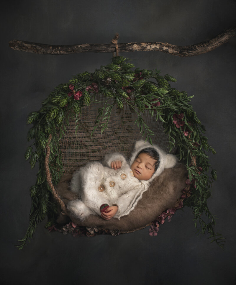 "Newborn baby posed in a swing hanging from a branch during a creative studio photography session in Ottawa"