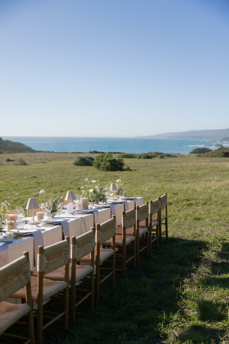 Sea Ranch Editorial Drone Sneak Peeks-Mariah Jones Photography-18