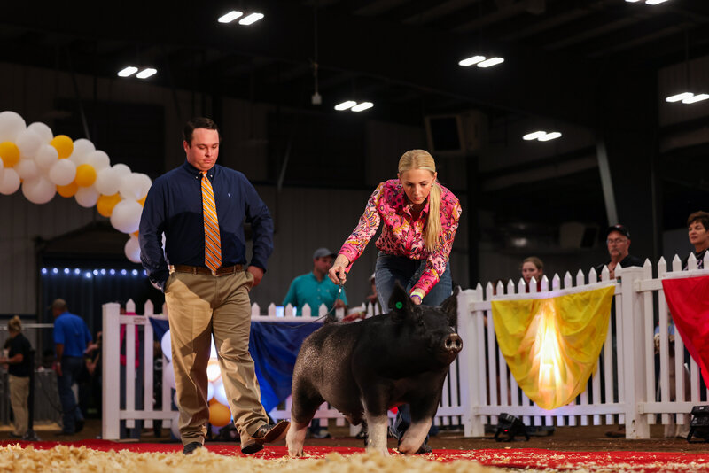 livestock photography