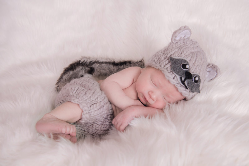 JandDstudio-baby-newborn-infant-studio-raccoon