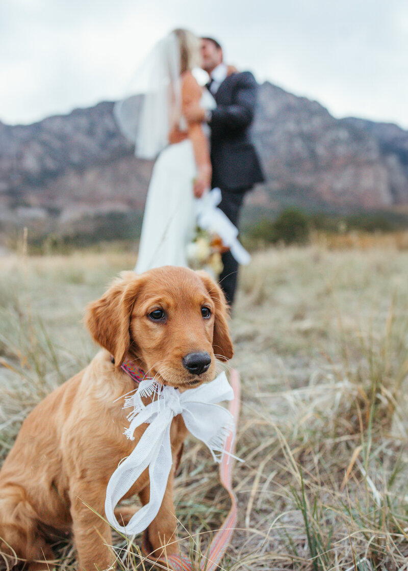 colorado-springs-wedding-photographer-76