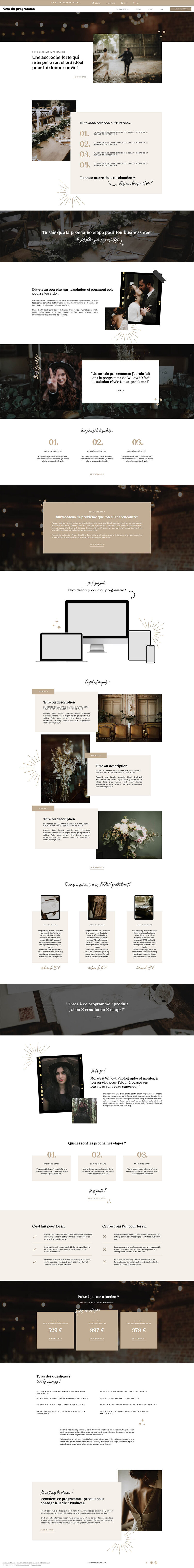 Capture d'écran du template de site Internet Showit Ash