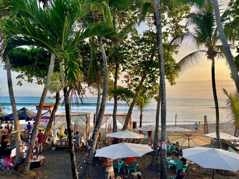 beach with umbrellas and palm trees in costa rica