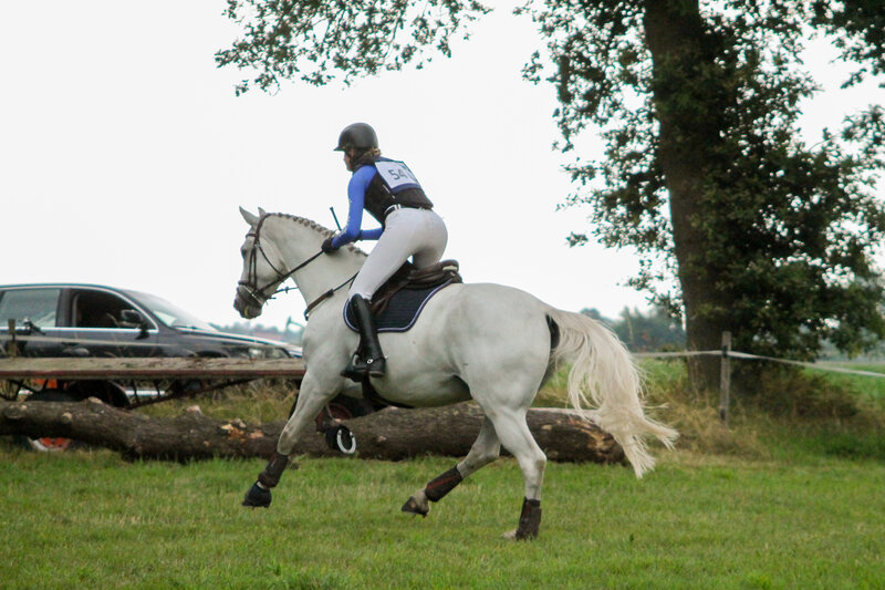 Stress beinvloed de prestaties van het paard