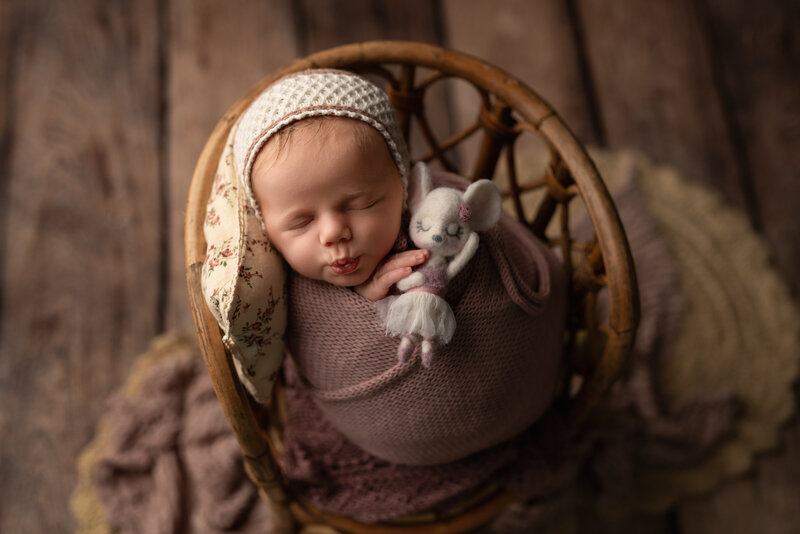 Styled with vintage charm and cozy details, this mauve-wrapped newborn girl rests sweetly with her tiny mouse companion.